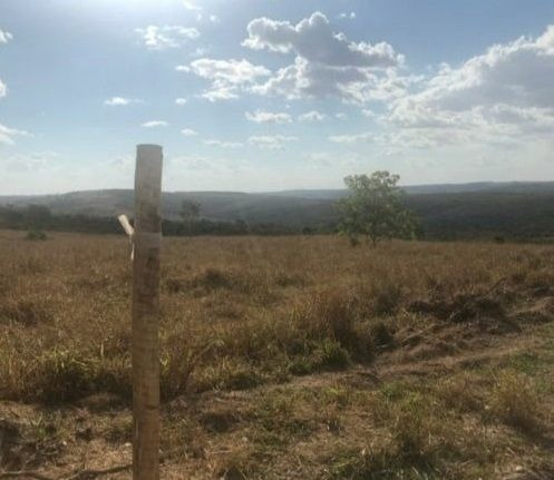 Imagem 6 de 10 de Chácara Com 1 Dormitório À Venda, 20000 M² Por R$ 295.000,00 - Zona Rural - Abadiânia/go - Ch0109