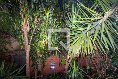 Imagem 6 de 15 de Apartamento Para Aluguel - Petrópolis, 2 Quartos, 70 - 893593297