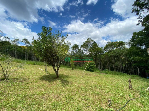 Chácara Com 2 Dormitórios À Venda, 29162 M² Por R$ 365.000,00 - Bairro Da Capelinha - Cotia/sp - Ch0157