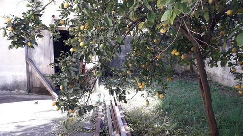 Imagen 10 de 14 de Barbaro Vende Galpón Con Vivienda En Billinghurst A Metros D