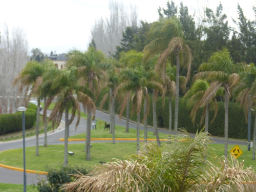 Imagen 20 de 26 de Departamento En Venta Ubicado En Bahia Grande, Nordelta, Tigre
