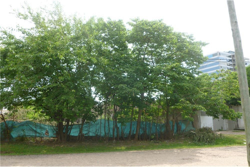 Lote En Escobar