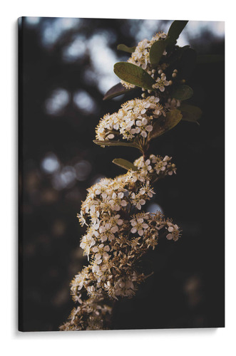 Canvas Lab Cuadro White Blooming Flowers 110x165, Ani Coloca