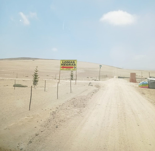 Imagen 4 de 19 de Lotes Económicos Buen Lugar
