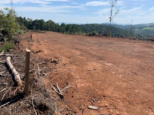Imagem 2 de 4 de Gs- Vende-se Terreno Proximo A Comércios !!!