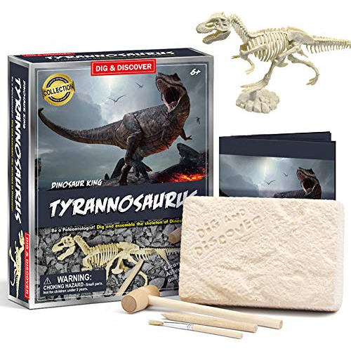 Dinosaurio Empuje Excavación Kit Yeso Martillo Cincel ...