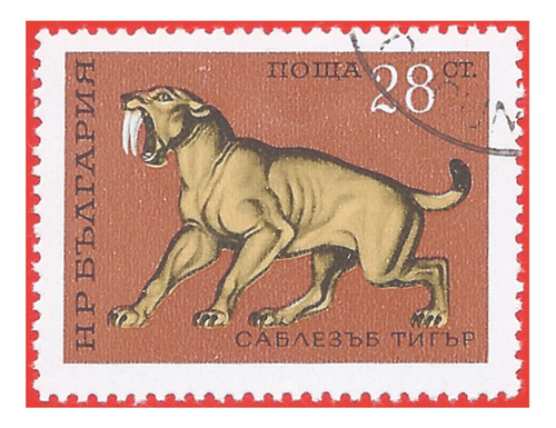 1971. Estampilla Tigre Dientes De Sable, Bulgaria. Slg1