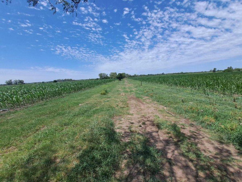 46 Hectareas De Campo En Zona Rural - Lobos