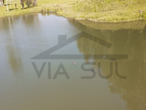 Imagem 15 de 30 de Lindo Sítio De 05 Alqueires Apenas 500m Da Rodovia, Ideal Para Formar Uma Pousada, Acampamento E Até Uma Fábrica. - 233 - 34266321