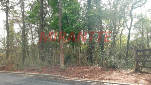 Imagem 3 de 6 de Terreno Em Serra Da Cantareira - São Paulo, Sp - 309976