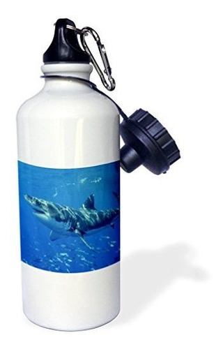 3drose Botella De Agua Deportiva Great White Shark, 21 Oz, C