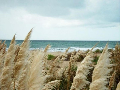 Venta De Campo Con Costa De Playas Virgenes , Pinamar