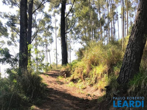 Imagem 10 de 14 de Terreno - Parque Mirante De Parnaíba - Sp - 578988
