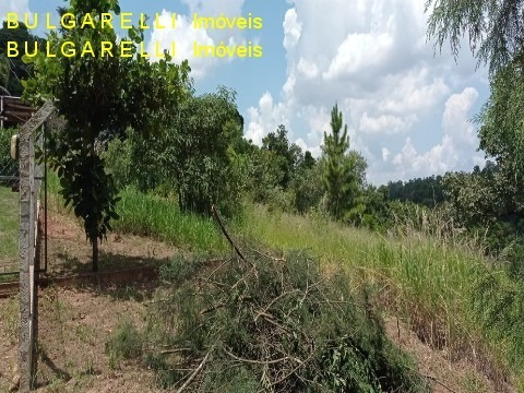 Imagem 4 de 4 de Terreno - Te01183 - 70623911