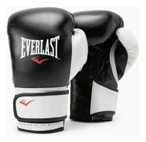 Guantes Boxeo Pro Style Everlast Boxing Kick Thai Traning