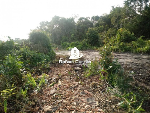 Imagem 2 de 3 de Terreno | Salinas | Bal. Barra Do Sul - 076