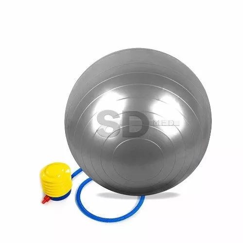 Pack x10 - Balón pelota pilates 65 cm + Inflador - SD MED