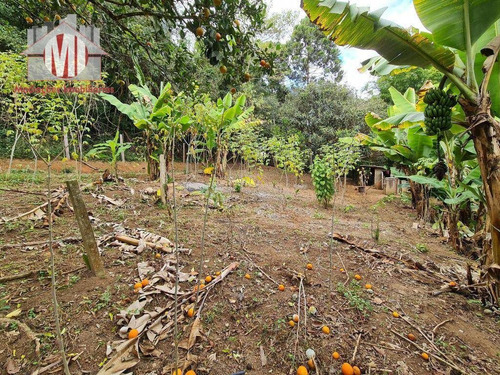 Imagem 20 de 30 de Excelente Chácara Com 3 Dormitórios, Bem Localizada, Pomar, À Venda, 1872 M² Por R$ 320.000 - Zona Rural - Pinhalzinho/sp - Ch0435