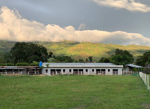 Imagen 2 de 14 de Finca En Venta En Aguirre