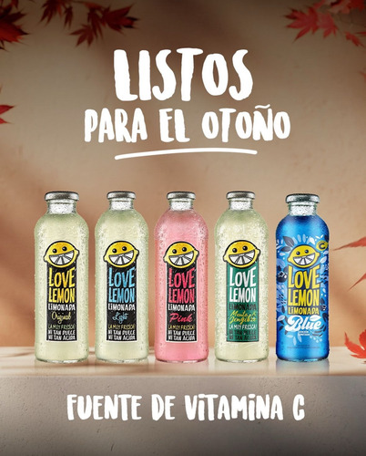 Limonada Love Lemon Menta Jengibre 475ml X 12u