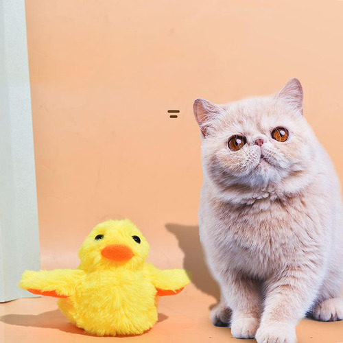 Pelota Chirriante Para Gatos, Suministros Divertidos Para