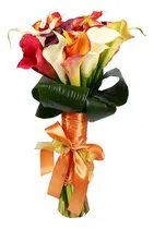 Comprar Bulbos De Calas Mezcla De Colores X 5 Bulbos