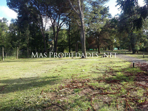 Imagen 3 de 10 de Lotes En Ranelagh