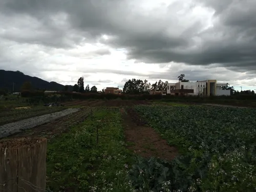 Excelente Lote En Condominio Tenjo