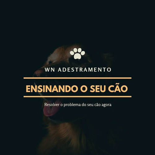 Imagem 1 de 4 de Adestramento De Cães