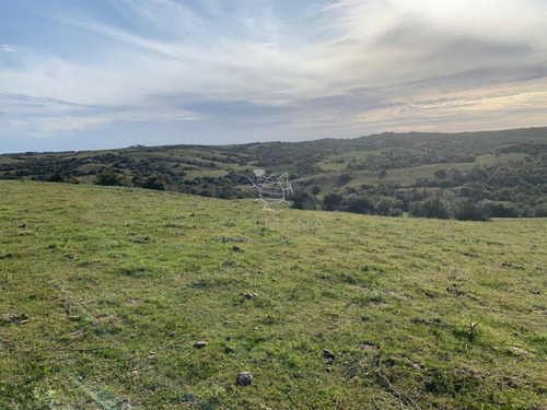 Imagen 23 de 30 de Venta De Chacras De 5 Has Se Ubicado En Garzon - Garzón Garzon