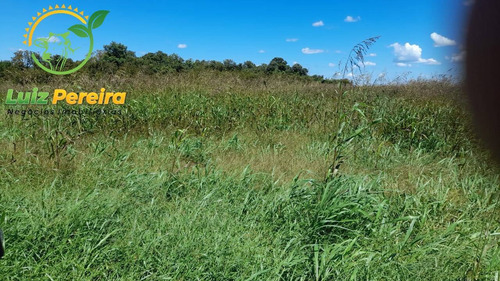 Imagem 5 de 15 de Fazenda À Venda Em Divinópolis - To - De 1.476 Hectares - 1747