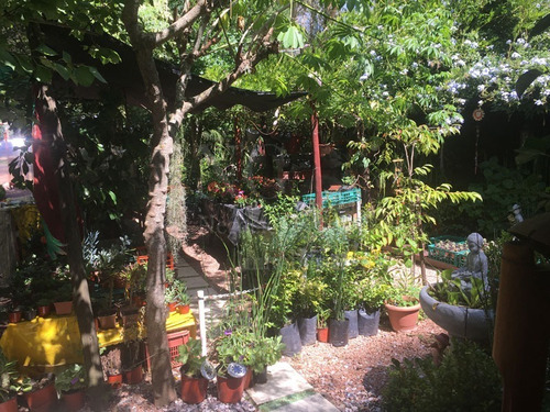 Imagen 8 de 30 de Casa + Vivero En Balneario Argentino
