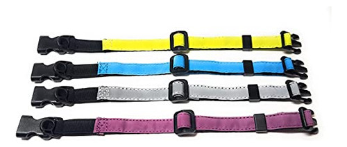 Collar Gato Elástico Seguro (azul)