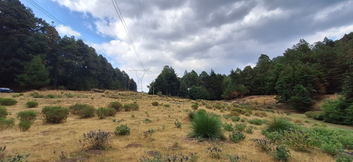 4.2 Hectáreas Con Manantial A 40 Minutos De Valle