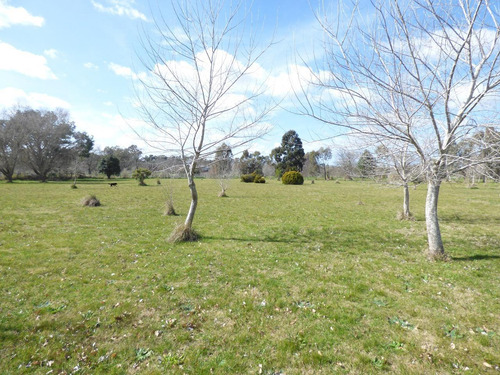 Imagen 2 de 30 de Quinta En Arturo Segui Calle 403 E/ 139 Y 141 La Catalina Dacal Bienes Raices
