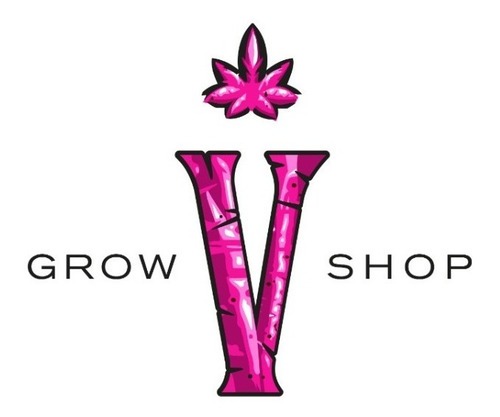 Semillas De Eneldo Sobre De 1gr Valhalla Grow Shop