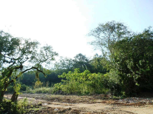 Imagem 10 de 10 de Terreno - Belem Novo - Ref: 226051 - V-226051