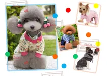Comprar Kit Imprimible De Moldes Y Patrones Ideal Para Tu Mascota!!!