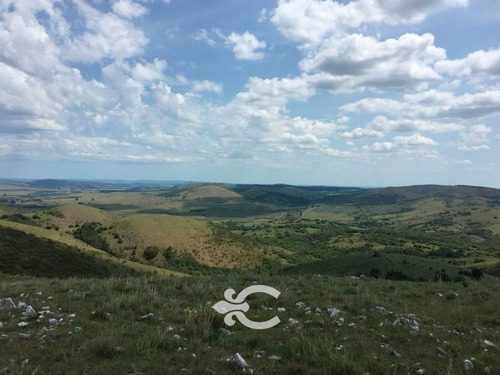 Campo En Lavalleja Ref. 5325 (ref: Cbr-883)