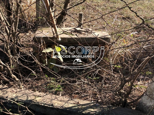 Imagem 17 de 22 de Ótimo Terreno Para Chácara No Ondinhas Em Piracicaba (código Ch00043) - Ch00043 - 69881080