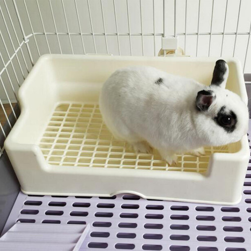 Caja De Arena Para Conejos, Orinal, Caja De Inodoro