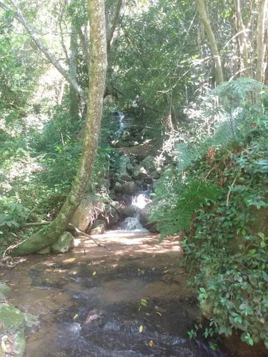 Imagem 9 de 15 de Chácara Para Venda Em Igrejinha, Voluntária Baixa - Cwvcr0133_2-1400751