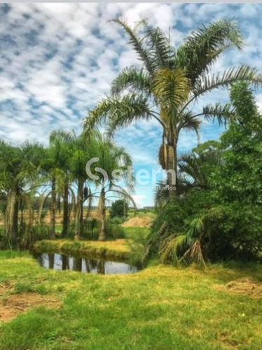 Imagen 10 de 13 de Venta De Lotes, Camino Lussich, Maldonado.