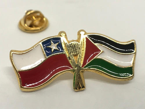 Pin Bandera Chile Y Palestina Entrelazadas 