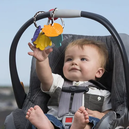Mordedor Rasca Encías, Coche Porta Bebe, Infantino