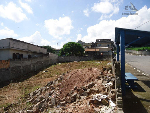 Imagem 3 de 9 de Terreno Residencial À Venda, Nova Arujá, Arujá. - Te0181