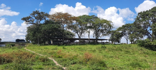 Imagen 8 de 14 de Se Vende Finca 72 Has Orilla De Carretera Manzanita