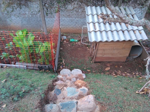 Imagem 4 de 30 de Chacara - Ch00205 - 68772128