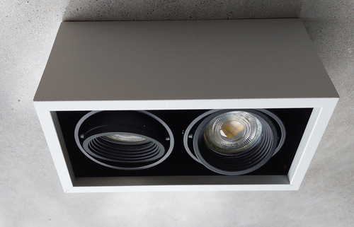 Imagen 3 de 5 de Plafón/spot 2 Luces Cardanica Acero , Apto Dicro Led