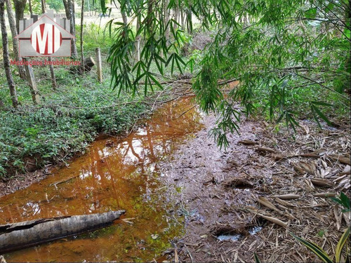 Imagem 25 de 30 de Excelente Chácara Com 5 Dormitórios, Campinho, Piscina, Pomar, Lago, Córrego, Ótima Localização, À Venda, 6000 M² Por R$ 500.000 - Rural - Socorro/sp - Ch0801